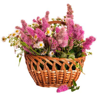 Корзина с живыми цветами «Нежный вечер»
